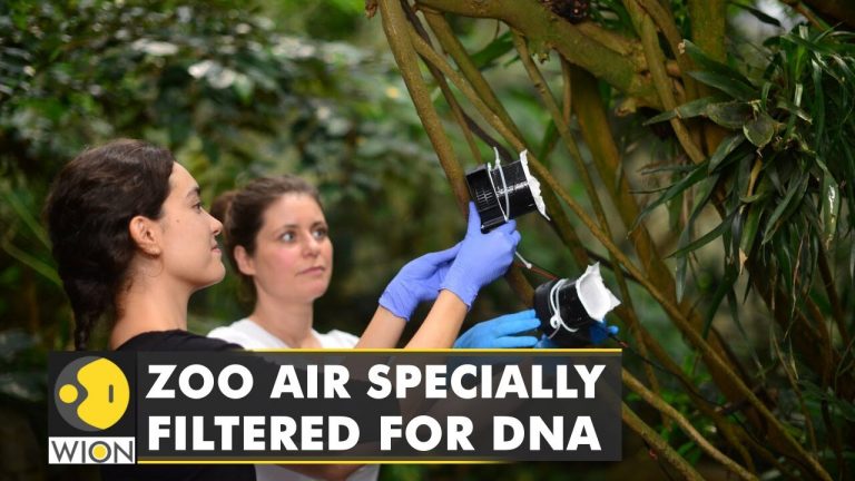 Zoo air becomes essential catalyst for DNA testing, sampling | English News | World News