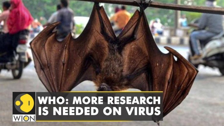 WHO: More research needed on deadlier coronavirus flagged by Scientists in Wuhan | English News