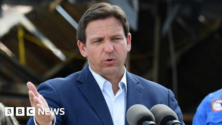 Ron DeSantis: Who is the Florida governor and White House contender?